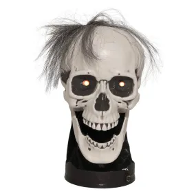 Animated Skull Bust, 10inAnimated Skull Bust