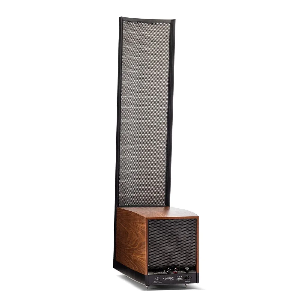 Martin Logan Expression ESL 13A Floorstanding Loudspeaker (Pair)