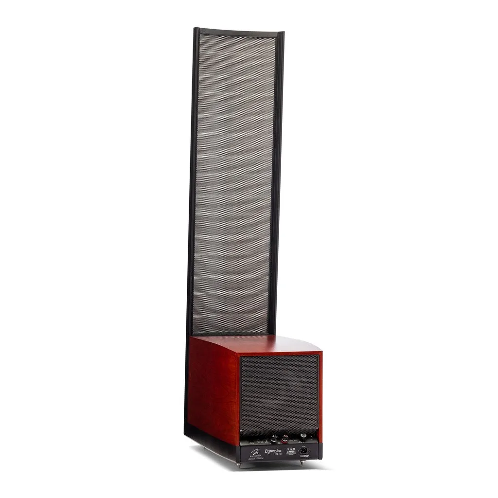 Martin Logan Expression ESL 13A Floorstanding Loudspeaker (Pair)